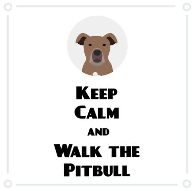 Sakin ol ve pitbull 'u dolaştır, beyaz arkaplanda bir resim