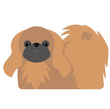 Pekin lehçesi, beyaz arkaplan düz stili