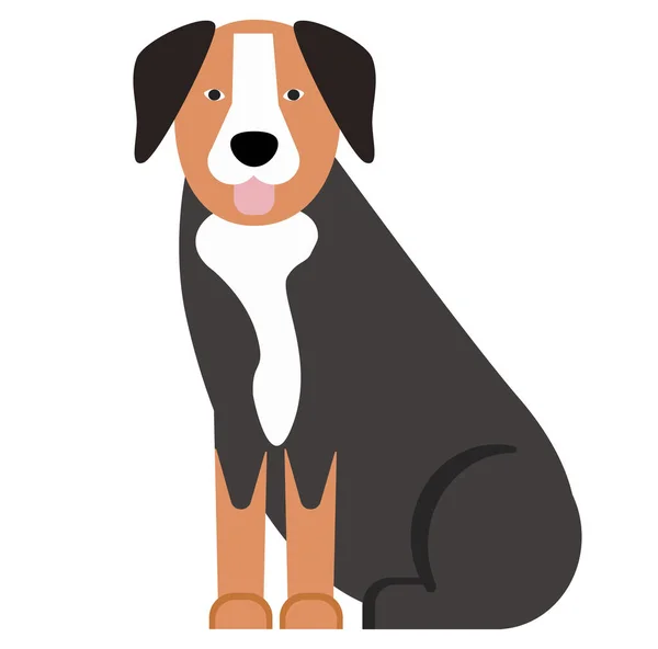 Bernese Mountain Dog Illustration White Background — Stock Vector