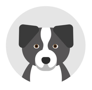 sınır Collie, beyaz arka plan düz tarzı üzerinde illüstrasyon