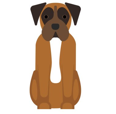 Boksör, beyaz arkaplan düz biçimi illüstrasyon