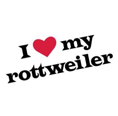 Rottweiler 'ımı seviyorum, beyaz arkaplanda resimlerim var.