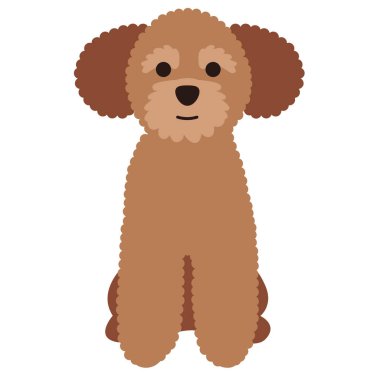 dwarf kaniş, beyaz arkaplan düz stili resimleme