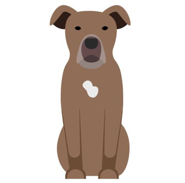 Pitbull, beyaz arka plan düz tarzı üzerinde illüstrasyon