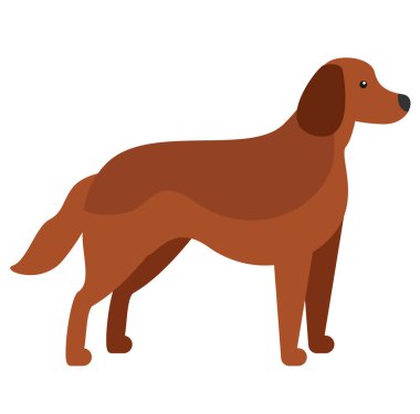 İrlandalı ayar, beyaz arkaplan düz biçimli illüstrasyon