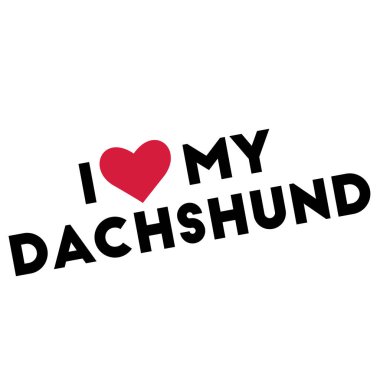 Dachshund 'umu seviyorum.