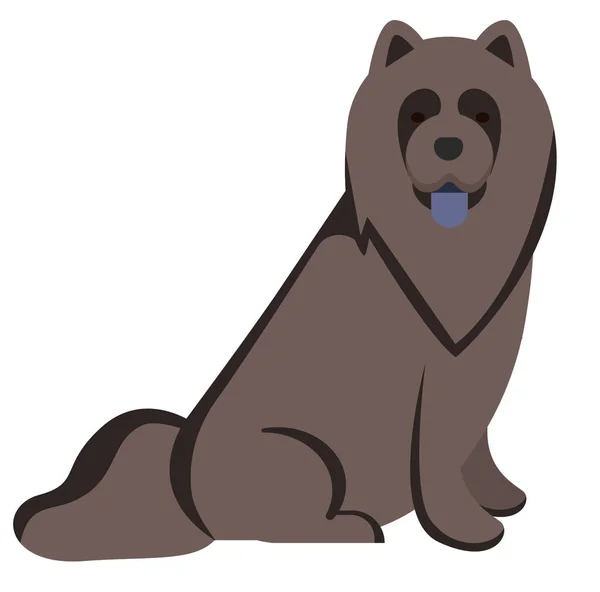 Chow-chow illustration på vit bakgrund — Stock vektor