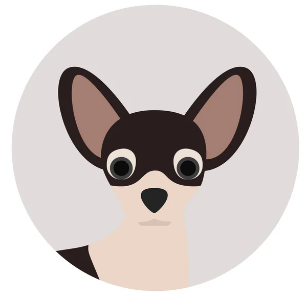 Chihuahua illustratie in cirkel illustratie op witte achtergrond — Stockvector