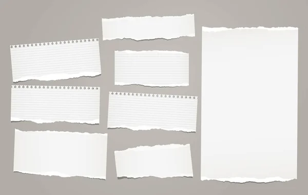 White lined torn note, notebook paper pieces for text stuck on gray background. Vector illustration. — Stock Vector