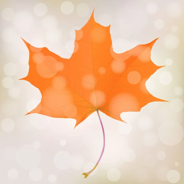 Orange maple leaf with bokeh blurry background. Autumn season. Vector eps10 illustration. — Stock Vector