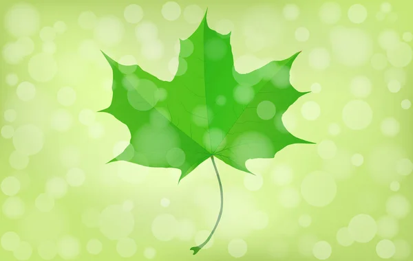 Green maple leaf on blurry background. Summer, sprin theme. Vector eps10 illustration. — Stock Vector