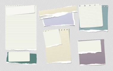 Renkli ve beyaz dikkat, defter kağıt parçaları ile yırtık kenarlar üzerinde çizgili gri kağıt sıkışmış. Vektör çizim.