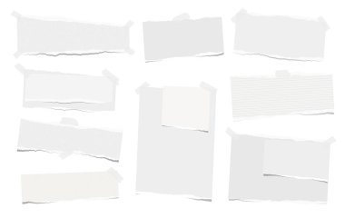 Dikkat, defter kağıt parçaları ile yırtık kenar üzerinde beyaz kağıt sıkışmış. Vektör çizim.