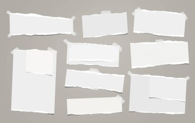 Beyaz dikkat, defter kağıt parçaları ile yırtık kenar üzerinde gri kağıt sıkışmış. Vektör çizim.