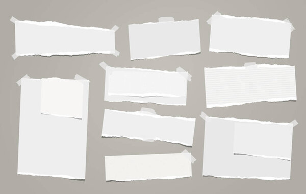 Белая нота, клочки бумаги с порванным краем, застрявшие на серой заднице. Векторная иллюстрация
.
