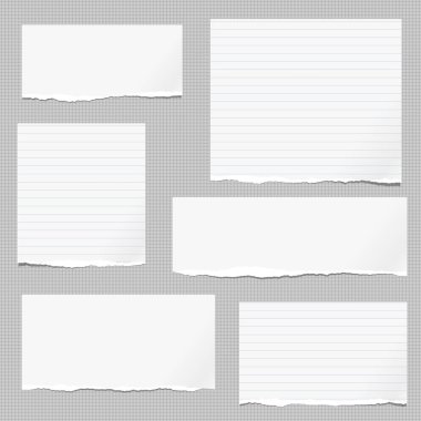 Beyaz dikkat, defter kağıt parçaları ile yırtık kenar üzerinde gri kare kağıt sıkışmış. Vektör çizim.