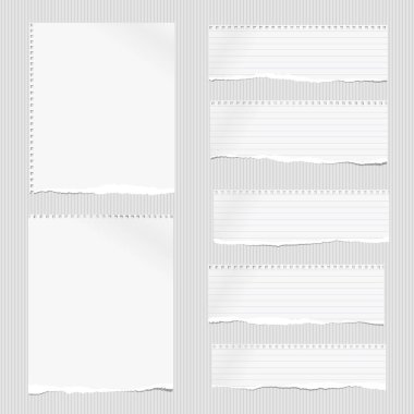 Beyaz dikkat, defter kağıt parçaları ile yırtık kenar üzerinde gri çizgili kağıt sıkışmış. Vektör çizim.
