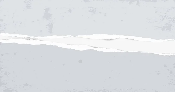 Papier gris déchiré avec des taches est sur fond blanc . — Image vectorielle