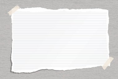 Gri kağıt üzerinde yapışkan bant ile beyaz yırtık çizgili Not, yırtık kenarlar ve lekeleri ile defter kağıt sıkışmış. Vektör çizim.