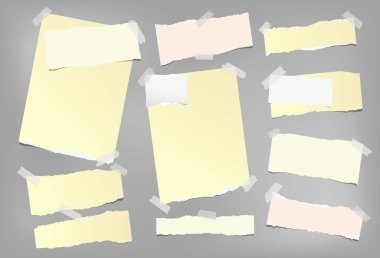 Gri arka plan üzerinde renkli Not, yırtık kenarlar ile defter kağıt sıkışmış. Vektör çizim.