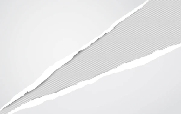 Conjunto de tiras de papel rasgadas diagonales blancas, papel de nota rasgado para texto o mensaje están en el fondo cuadrado. Ilustración vectorial — Vector de stock