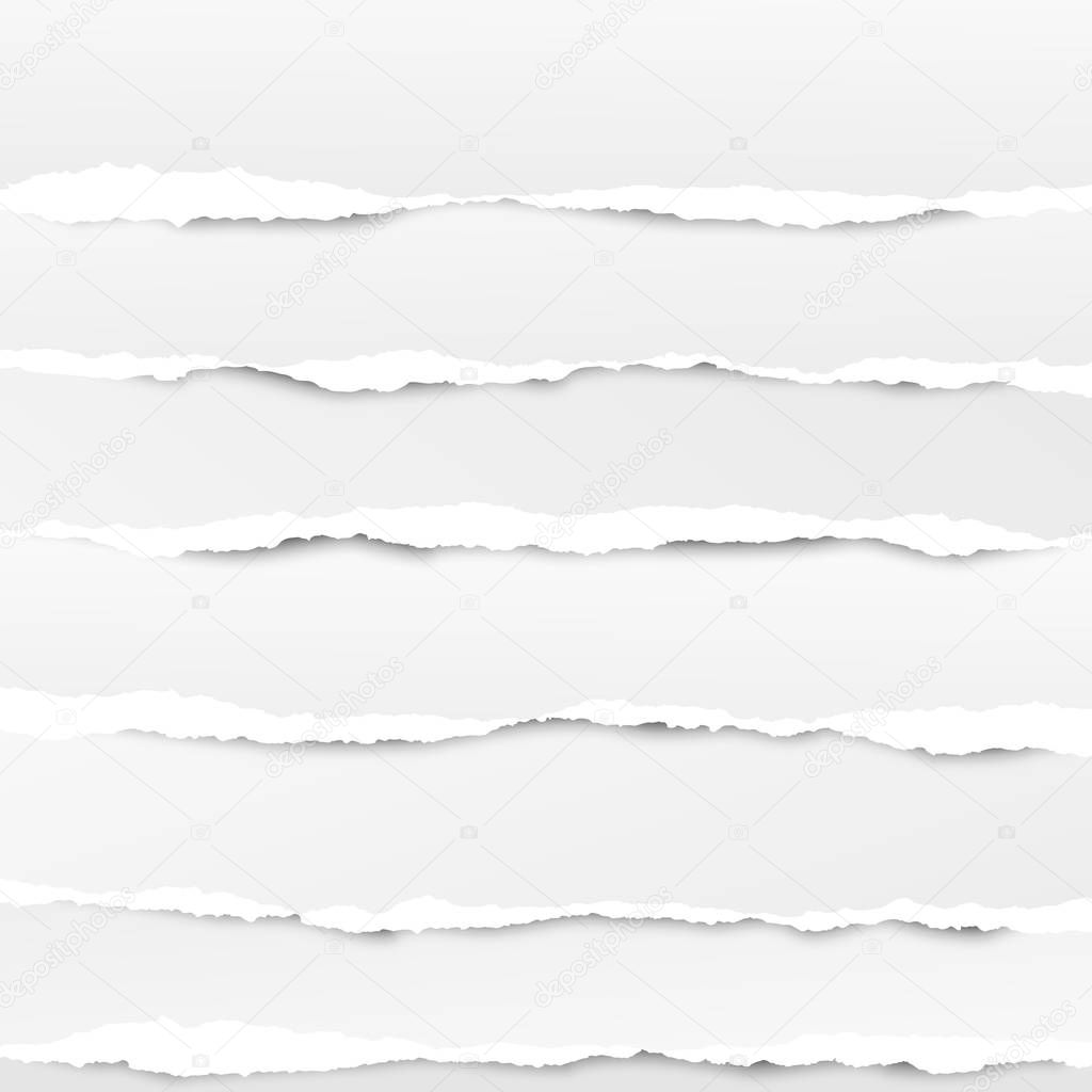 Set of white horizontal ripped paper strips, torn note paper for text or message. Vector illustration