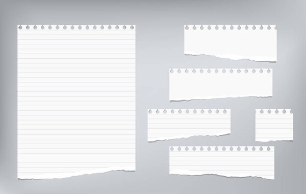 White lined note, notebook paper strips with torn edges stuck on grey background. Vector illustration.
