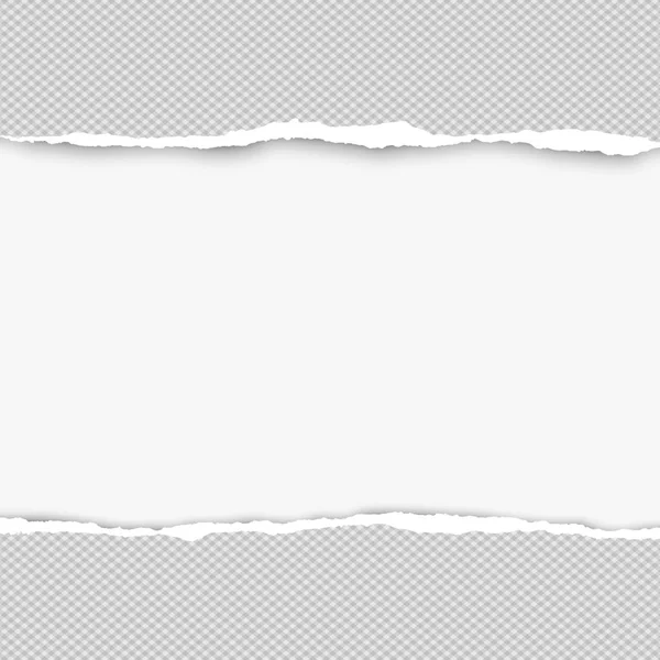 Papel cinzento rasgado quadrado para texto ou mensagem estão no fundo branco. Ilustração vetorial —  Vetores de Stock