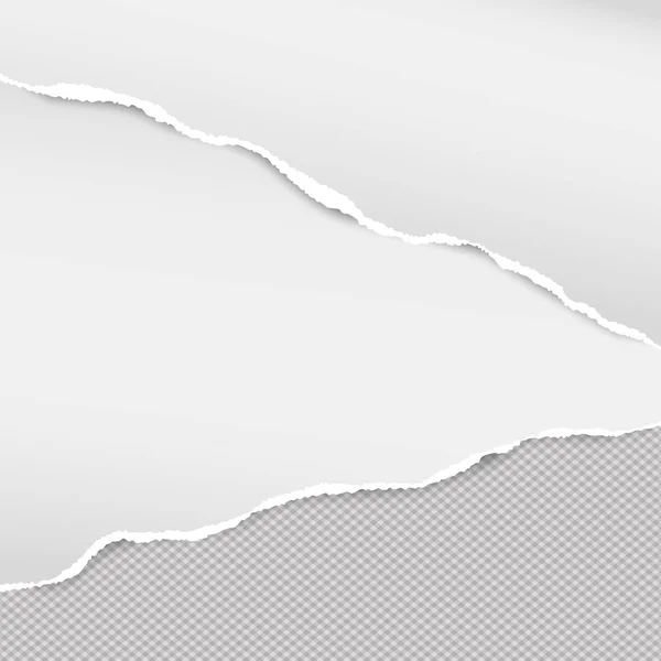 Strisce di carta bianca strappata per testo o messaggio su sfondo grigio quadrato — Vettoriale Stock