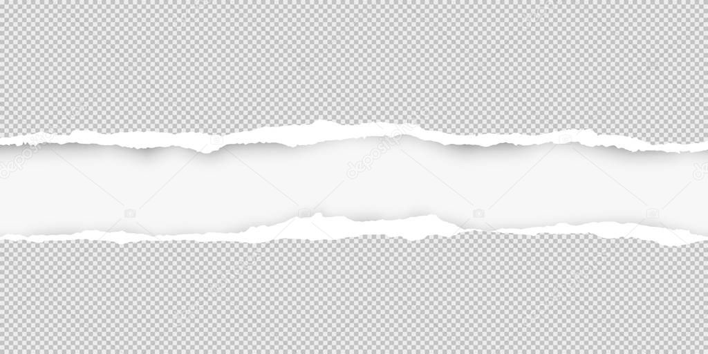 Squared ripped horizontal grey paper for text or message are on white background. Vector illustration