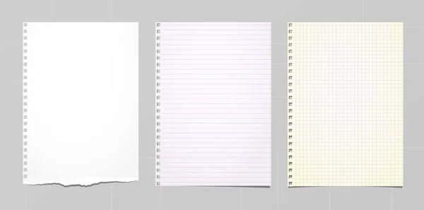 Papel de caderno rasgado branco e colorido, papel de nota colado em fundo cinza. Ilustração vetorial — Vetor de Stock
