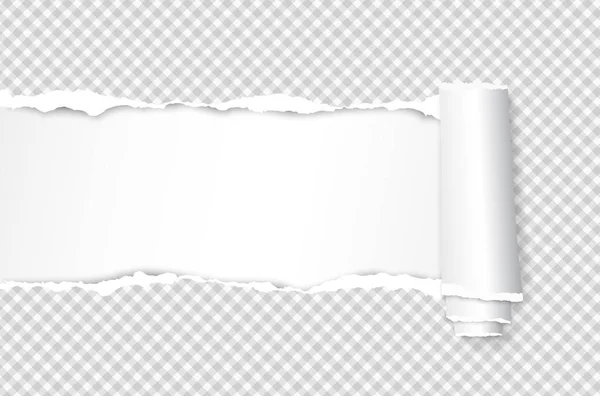 Rolado e rasgado quadrado folha de papel de caderno branco para texto. Ilustração vetorial — Vetor de Stock