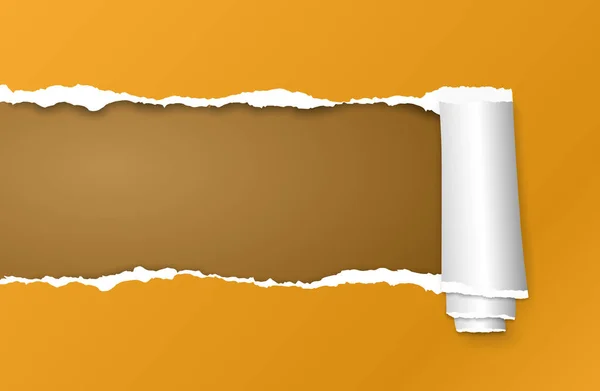 Gerolltes und zerrissenes orangefarbenes Papierblatt für den Text. Vektorillustration — Stockvektor