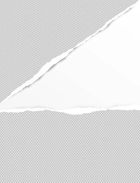 为文本或消息而拆掉的方形灰色纸张位于白色背景上。向量例证 — 图库矢量图片