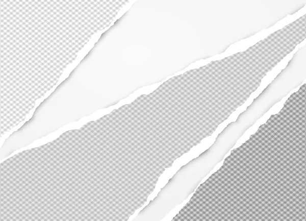 Les bandes de papier gris déchiquetées pour le texte ou le message sont sur fond blanc. Illustration vectorielle — Image vectorielle