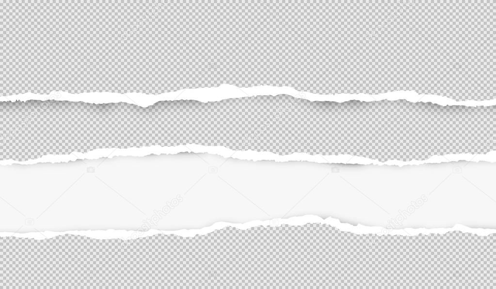 Ripped squared horizontal grey paper strips for text or message are on white background. Vector illustration