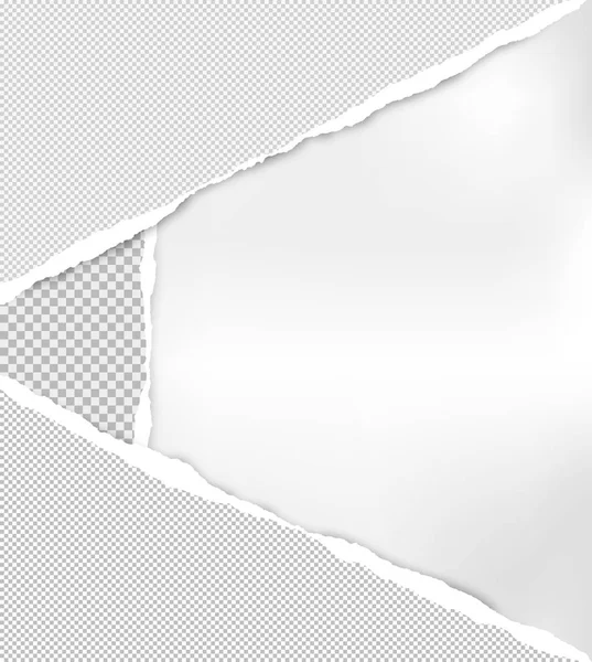 Zerrissenes kariertes graues Papier in den Ecken ist auf weißem Hintergrund mit Platz für Text. Vektorillustration — Stockvektor