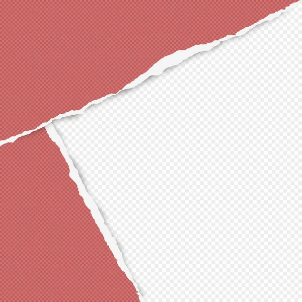 Gescheurd gekwadrateerde rood papier in hoeken zijn op witte achtergrond met ruimte voor tekst. Vectorillustratie — Stockvector