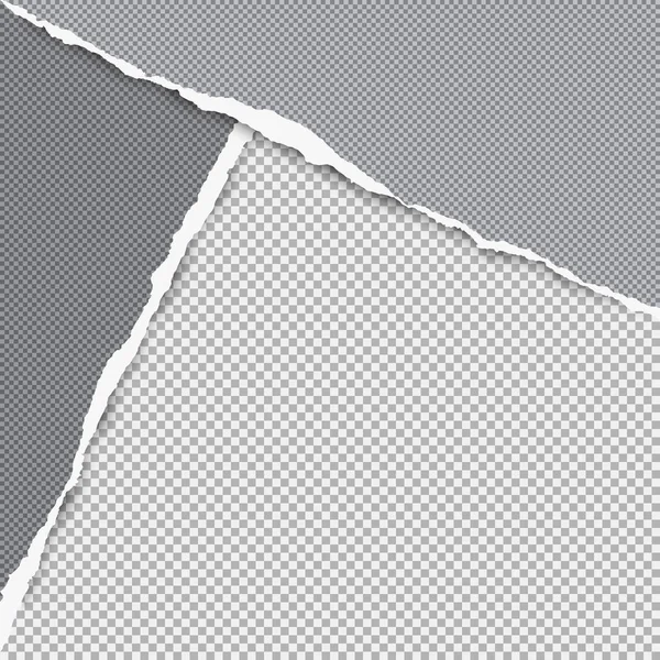 O papel cinzento escuro quadrado rasgado nos cantos está no fundo com espaço para texto. Ilustração vetorial —  Vetores de Stock