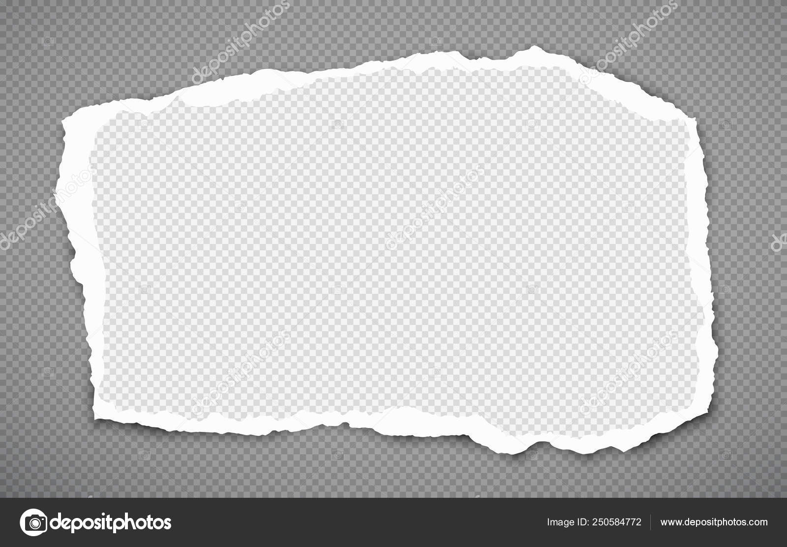 Branco Quadrado Folha De Caderno Rasgada Tiras De Papel Rasgado Nota Presos No Fundo Cinzento Escuro Ilustracao Vetorial Vetores De Stock C Flas100 250584772