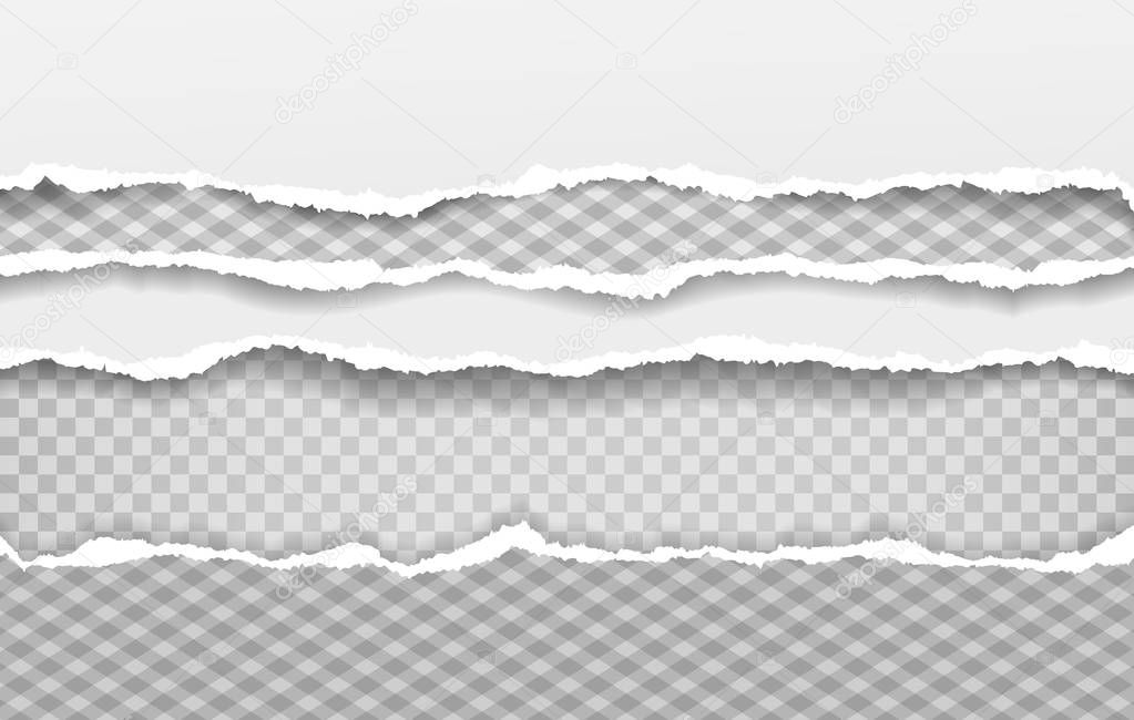 Torn squared and white horizontal paper strips with soft shadow. Vector illustration background