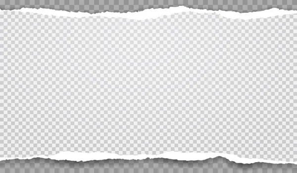 Yırtık beyaz, kare ve yatay kağıt yumuşak gölgeli gri arka plan üzerinde bandıdır. Vektör çizim arka plan
