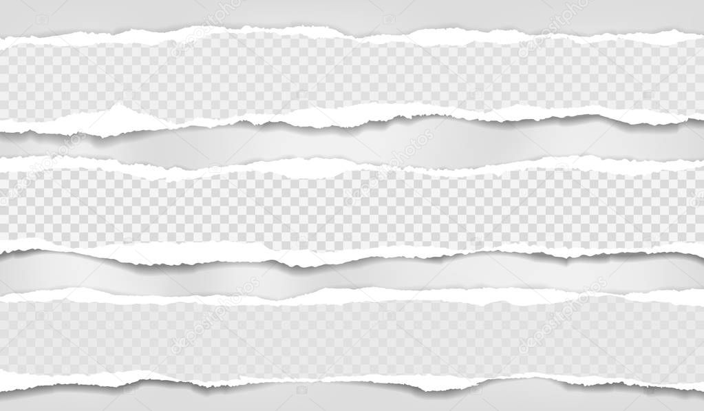 Torn squared and white horizontal paper strips with soft shadow. Vector illustration background