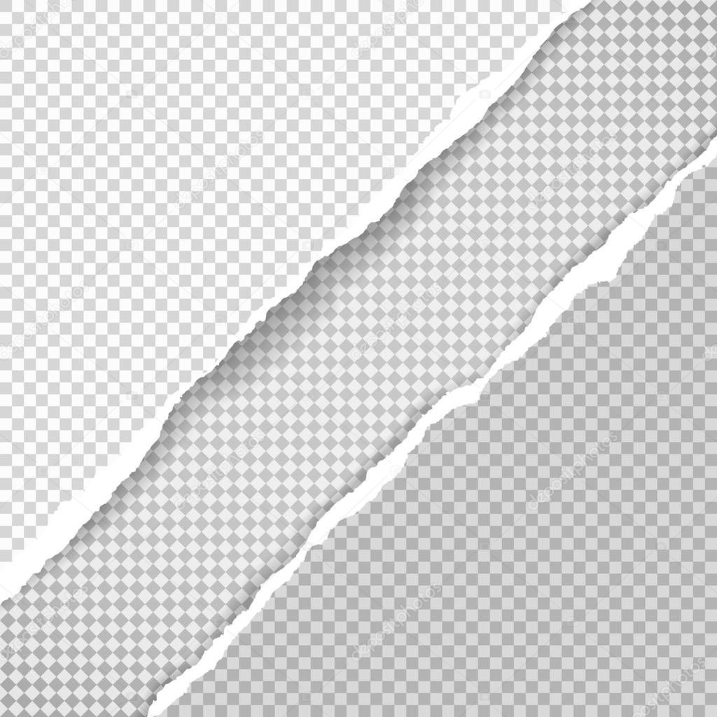 Piece of torn diagonal paper in corners with squared background. Vector template illustration