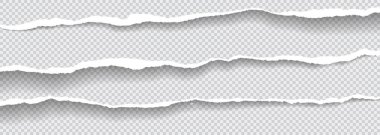 Torn white and horizontal paper strips with soft shadow are on squared background. Vector template illustration clipart
