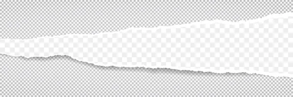 Tira de papel rasgada, rasgada, cuadrada y horizontal con sombra suave. Ilustración de plantilla vectorial — Archivo Imágenes Vectoriales