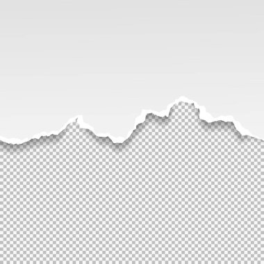 Yumuşak gölge ile yırtık beyaz kağıt şerit kare arka plan üzerindedir. Vektör çizimi