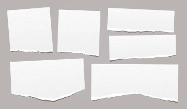 Yırtık not seti, gri arka planda sıkışmış defter taneli kağıt şeritler. Vektör illüstrasyonu