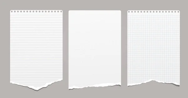 White grainy ripped, lined and squared notebook, note paper stuck on grey background. Vector illustration. — Stock Vector