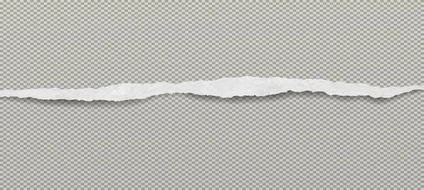 Déchirée bande de papier blanc horizontal est sur fond rectangle gris. Illustration vectorielle — Image vectorielle